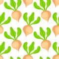 Cartoon sugar beet pattern on white background. Seamless background from white beats.