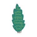 Cartoon Summer Green Tree Conical Evergreen. Vector