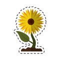 Cartoon sunflower flora leaves icon