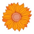 Cartoon sunflower. Icons Vector
