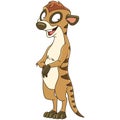 Cartoon suricate animal