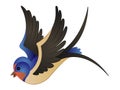 Cartoon Swallow Bird Vector Illustration Clipart