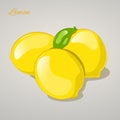Cartoon sweet lemon on grey background. Vector Illustration.
