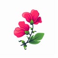 Cartoon Sweet Pea Flower: Vibrant Colors And Simplified Structures