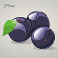 Cartoon sweet plum on grey background, vector illustration.