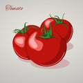 Cartoon sweet tomatoes on grey background, vector illustration. Royalty Free Stock Photo