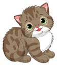 Cartoon Tabby Kitten