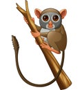 Cartoon tarsius on a tree branch Royalty Free Stock Photo