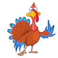 Cartoon thanksgiving turkey character waving hello. Outlines. Vector illustration isolated.