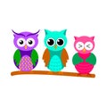 Cartoon three owls sitting on tree branch Royalty Free Stock Photo