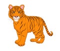 Cartoon tiger isolated on white background. Vector illustration. Royalty Free Stock Photo