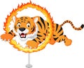 Cartoon tiger jumps through ring of fire Royalty Free Stock Photo