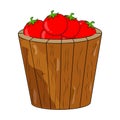 Cartoon tomatoes basket, bucket isolated on white background Royalty Free Stock Photo