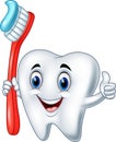 Cartoon tooth holding a tooth brush giving thumb up