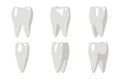 Cartoon Tooth Rotation Animation Frames 3d Stomatology Dental Poster Flat Design Isolated Icon Template Transperent