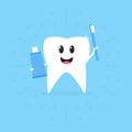 Cartoon tooth with a toothbrush and a paste in hand smiling, healthy teeth, vector illustration