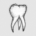 Cartoon tooth vector grunge tattoo