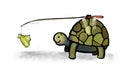 Tortoise speed incentive