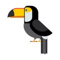 Cartoon toucan vector isolated birds