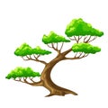 Cartoon tree bansai with white background Royalty Free Stock Photo