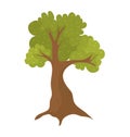 Cartoon tree with green leaves and brown trunk isolated on white. Simple drawing of a leafy deciduous tree, nature Royalty Free Stock Photo