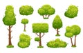 Cartoon trees and bushes. Green plants with flowers for vegetation landscape. Nature forest tree and hedge bush vector Royalty Free Stock Photo