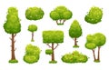 Cartoon trees and bushes. Green plants with flowers for vegetation landscape. Nature forest tree and hedge bush vector set