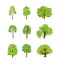 Cartoon trees differents birch poplar elm chestnut willow maple linden.