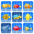 Cartoon trendy colorful reef animals big set. Fishes, mammal, crustaceans.Dolphin and shark, octopus, crab, starfish Royalty Free Stock Photo