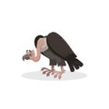 Cartoon trendy design comic vulture. American animal. Wildlife and zoo vector illustration