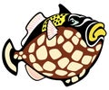 Cartoon trigger fish