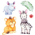 Cartoon tropical animal characters. Little lion, zebra and rhino cubs. Royalty Free Stock Photo
