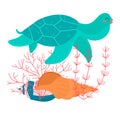 Cartoon tropical color turtle animal swims above seashell and seaweed underwater isolated on white, vector, illustration