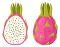 Cartoon tropical dragon fruit. Summer red fruits, whole fruit and half flat vector illustration on white background Royalty Free Stock Photo