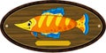 Cartoon Tropical Fish on Trophy Mount