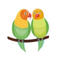 Cartoon tropical lovebird parrot wild animal bird vector illustration wildlife zoo couple nature vivid.