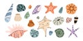 Cartoon tropical seashells. Different shapes underwater elements. Decorative mineral formations. Mollusks shells Royalty Free Stock Photo