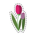 Cartoon tulip leaf natural floral