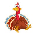 Cartoon turkey bird character. Thanksgiving holiday