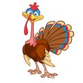 Cartoon turkey character. Thanksgiving clipart. Royalty Free Stock Photo