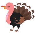 Cartoon turkey gobbler. Farm bird character