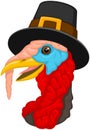 Cartoon Turkey in Pilgrim Hat