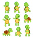 Cartoon turtle. Cute kids turtles, wild animals character set. Tortoise characters vector animal illustration collection Royalty Free Stock Photo