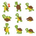Cartoon turtle. Cute tortoise wild animal vector characters isolated