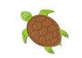 Cartoon Turtle in flat style. Vector illustration of turtle icon isolated on white background Royalty Free Stock Photo