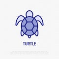 Cartoon turtle thin line icon. Modern vector illustration for logo with reptile