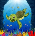 Cartoon turtle underwater Royalty Free Stock Photo