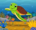 Cartoon turtle underwater Royalty Free Stock Photo