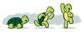 Cartoon Turtles on White Background