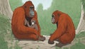 A cartoon of two orangutans and a baby